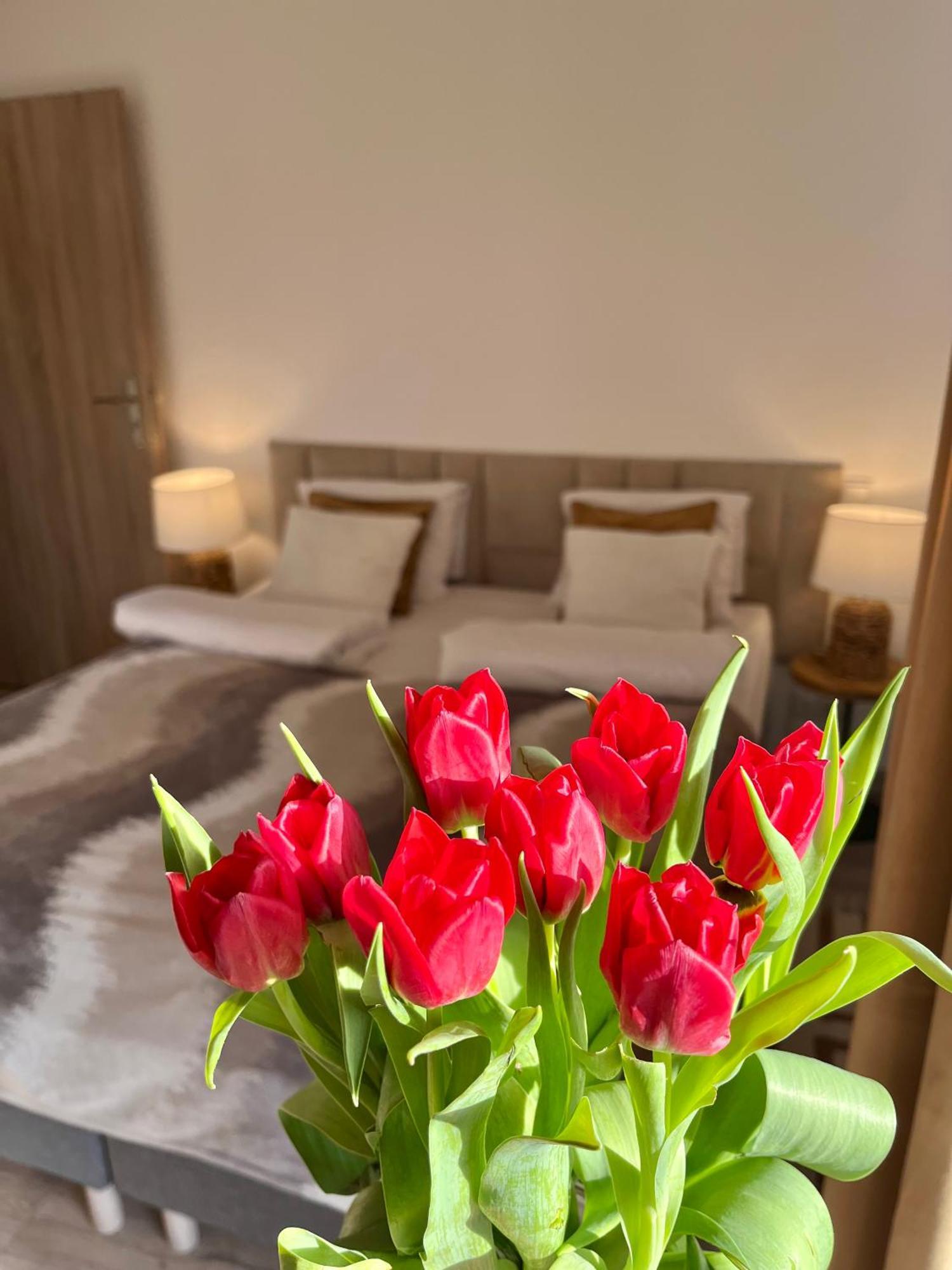 Karkonoskie Widoki Apartamenty Карпач Екстериор снимка